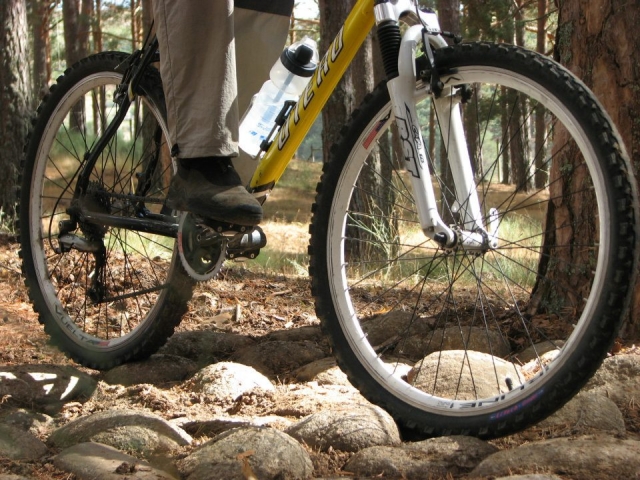 Mountain Bike